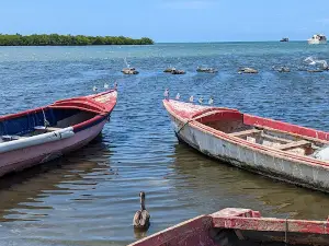 Old Harbour Bay Fishing Village