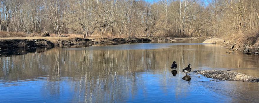 Pennypack Trail