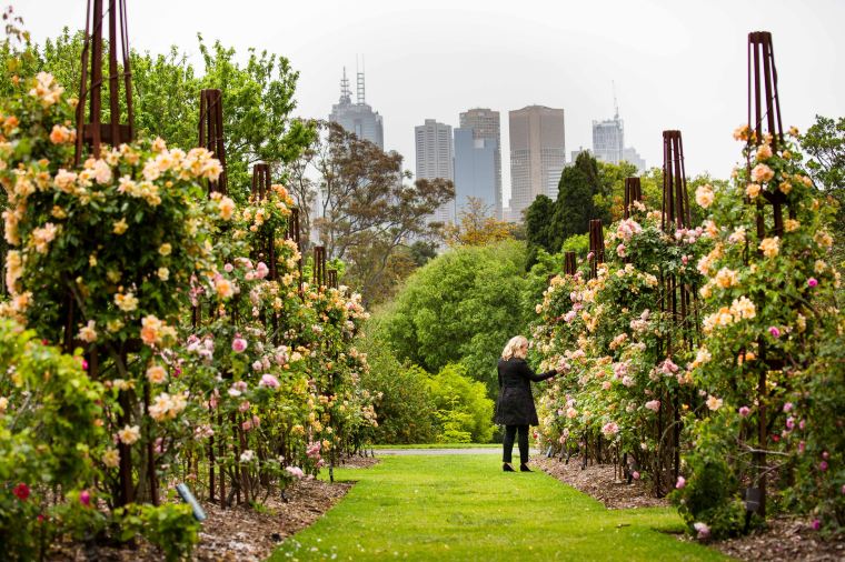 Royal Botanic Gardens Victoria - Melbourne Gardens