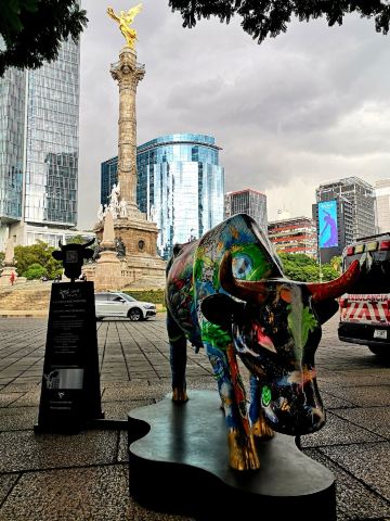 Zona Rosa