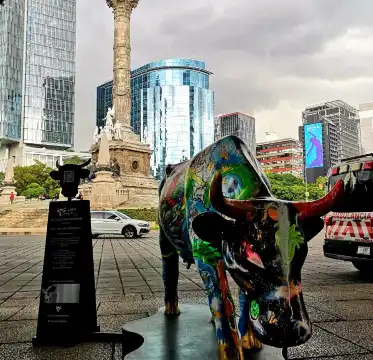 ソナ・ロサ周辺のホテル