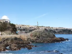 Rompe Olas