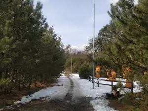 BEAR SANCTUARY Domazhyr