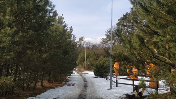 BEAR SANCTUARY Domazhyr