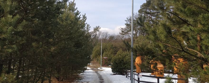BEAR SANCTUARY Domazhyr