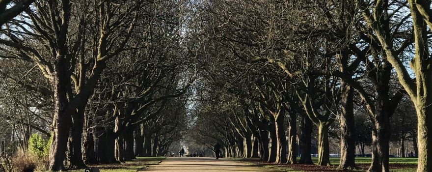 Albert Park