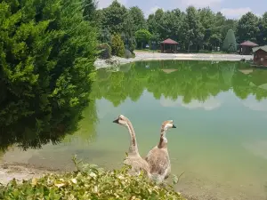 Kozagac Parki