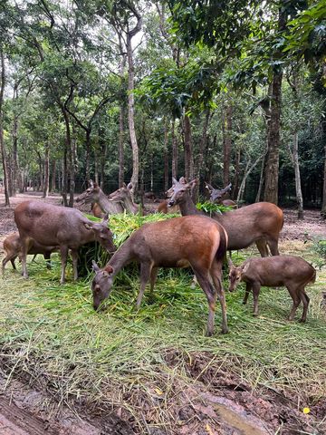 Ubon Ratchathani Zoo