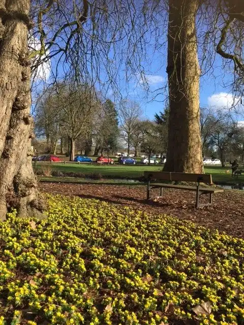 Himley