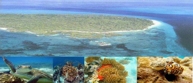 Pemba Island