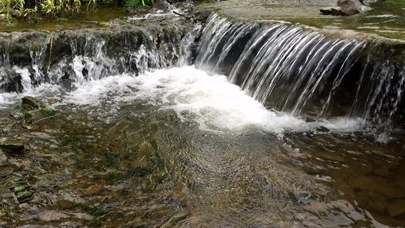 Shoolpaneshwar Wildlife Sanctuary.