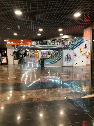 萊維採