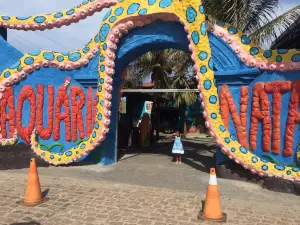 Aquario Natal