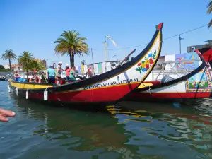 The Aveiro Salines