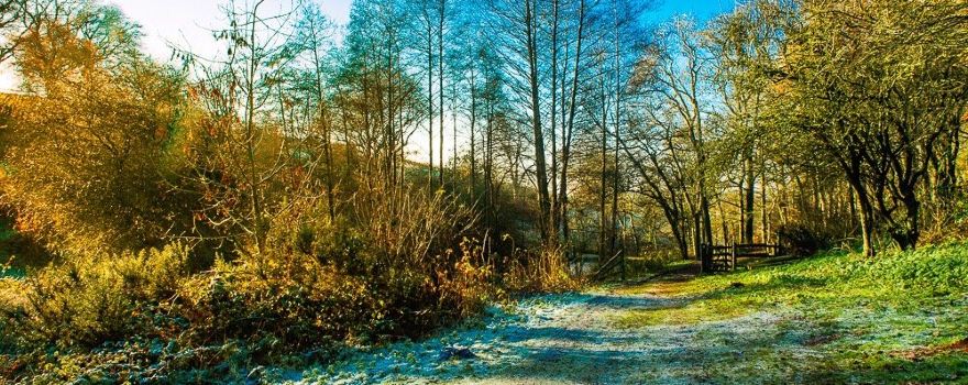 Waseley Hills Country Park