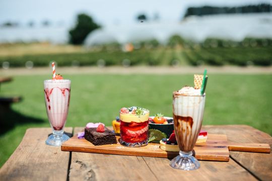 Hillwood Berries Farmgate Cafe