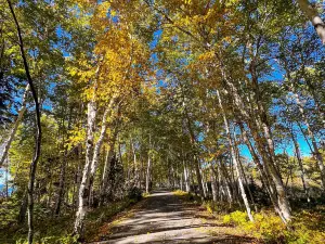 Parc National de la Pointe-Taillon