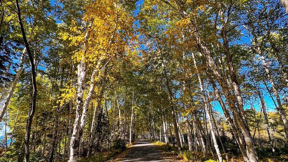 Parc National de la Pointe-Taillon