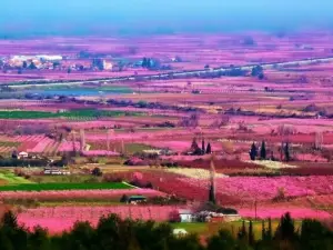 Archaelogical Site of Pella