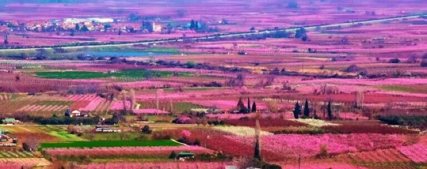 Archaelogical Site of Pella