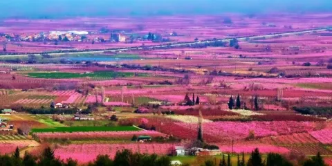 Archaeological Site at Pella