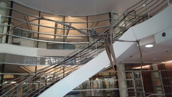 University of California Museum of Paleontology