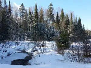 Minocqua Winter Park