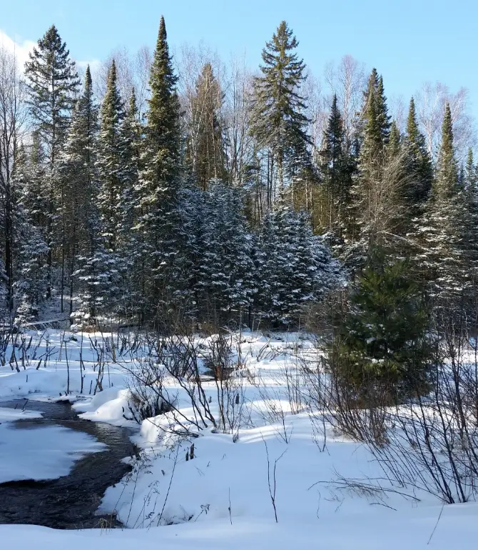 Minocqua