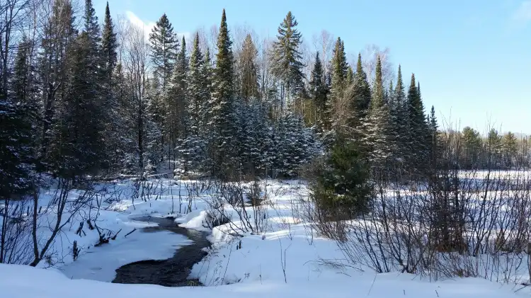 Các khách sạn ở Minocqua