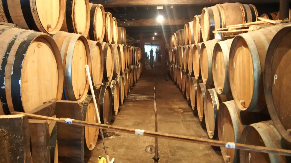 Hotels near Cantillon Brewery
