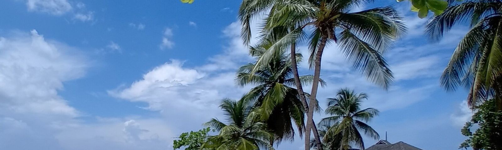 travel