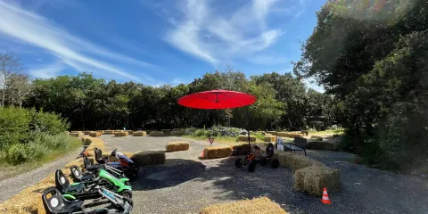 Aven Grotte Forestiere