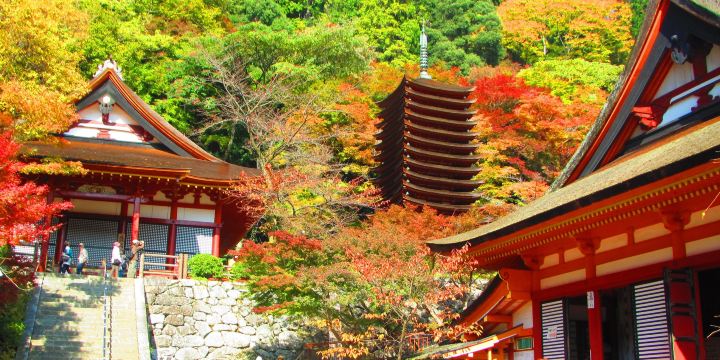Tanzan Jinja