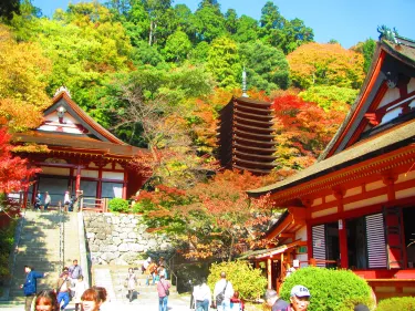 Tanzan Jinja