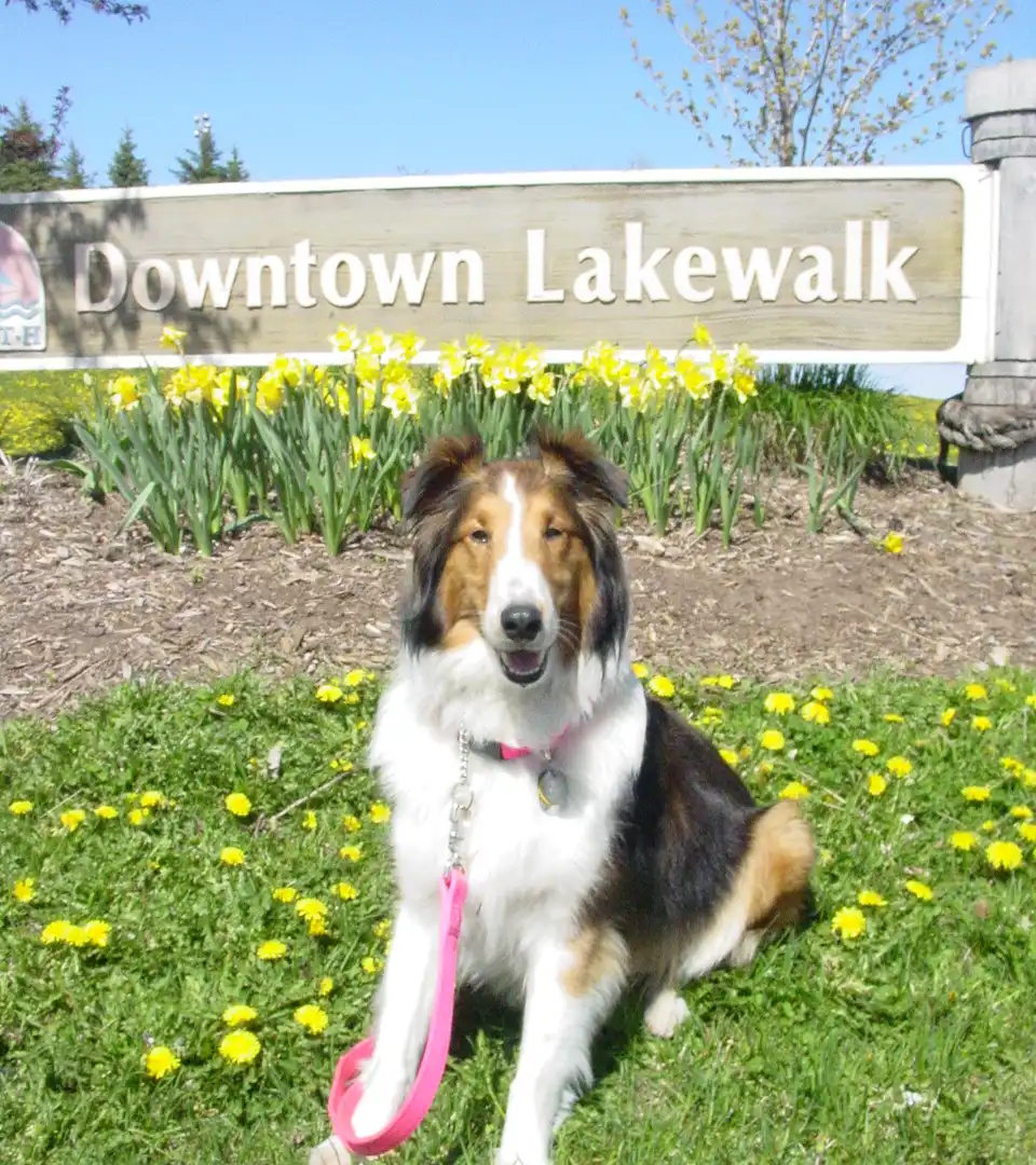 Hotels near Lakewalk