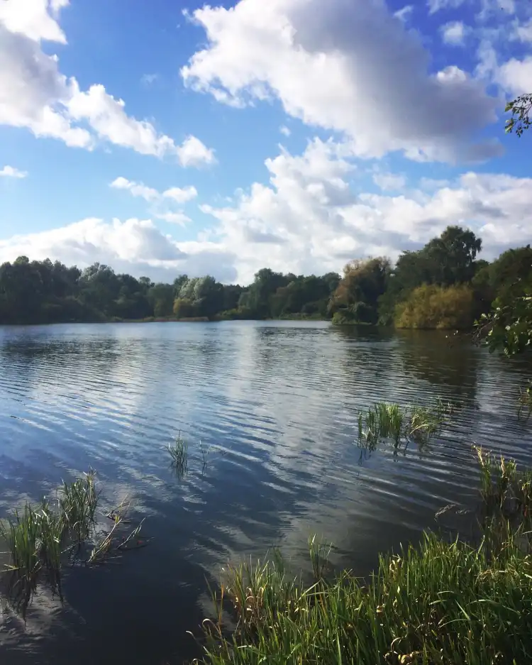 Hotels near University of East Anglia