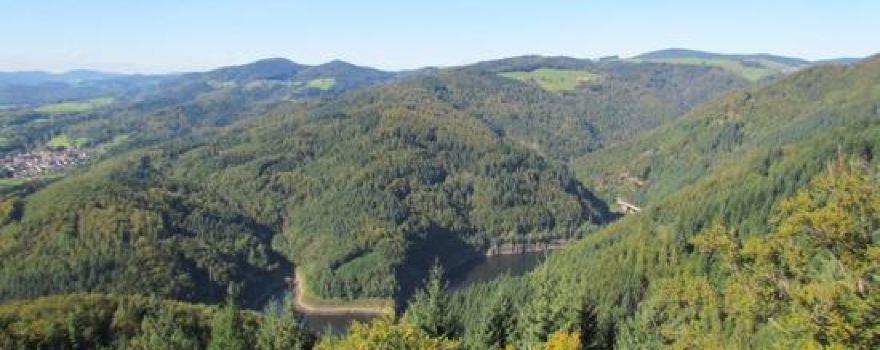 Wehr