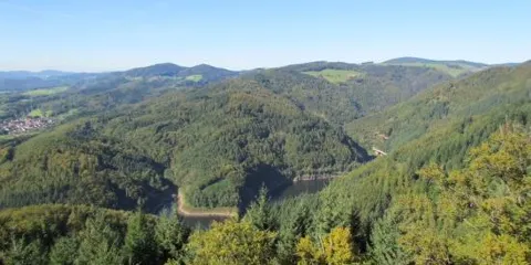 Burgruine Bärenfels