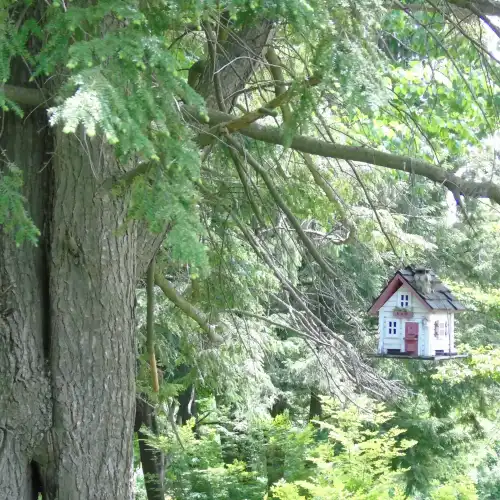 Benson Park