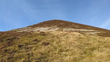 Airdrie