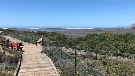 Elfin Forest Preserve