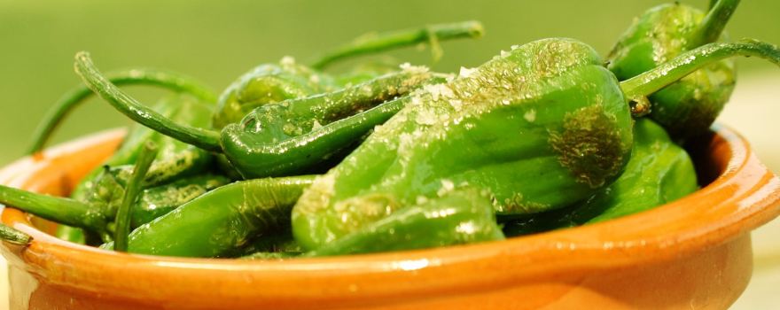 The South Devon Chilli Farm