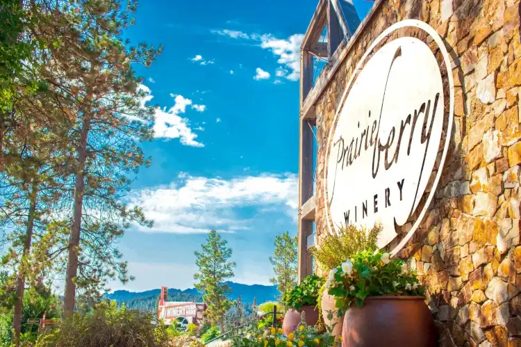 Hotels near Black Hills National Forest