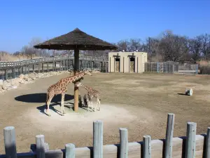Frank Buck Zoo