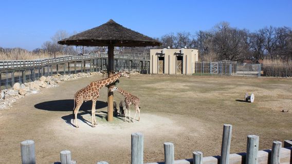 Frank Buck Zoo