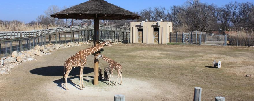 Frank Buck Zoo
