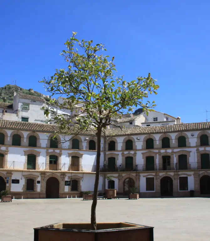 Archidona