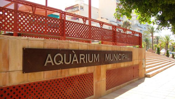 Aquari Municipal de Santa Pola