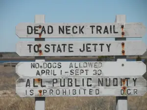 South Cape Beach State Park