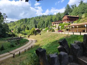 Moulin Richard de Bas